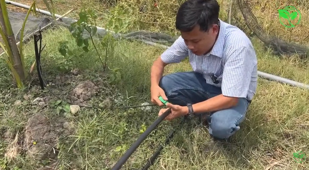 huong dan dùi lỗ lăp đặt hệ thống tưới